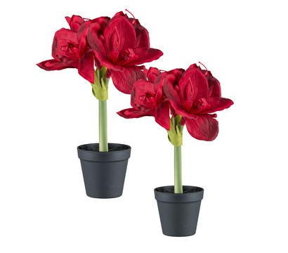 Gasper Kunstpflanze Amaryllis, ca. H32 cm, 2er-Set