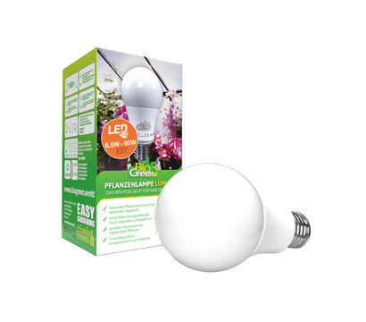 Bio Green LED-Birne Flora-Booster 500