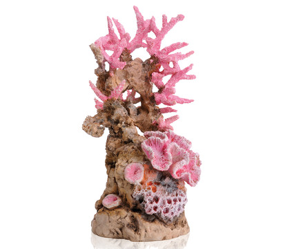 biOrb® Aquariumdeko Korallenriff Ornament, pink