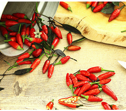 Peperoni 'Piri Piri'