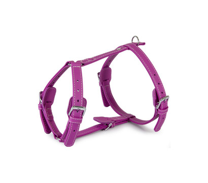 Das Lederband Hundegeschirr Style Barcelona Rose-Violet