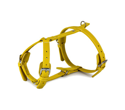 Das Lederband Hundegeschirr Style Barcelona Vibrant-Yellow