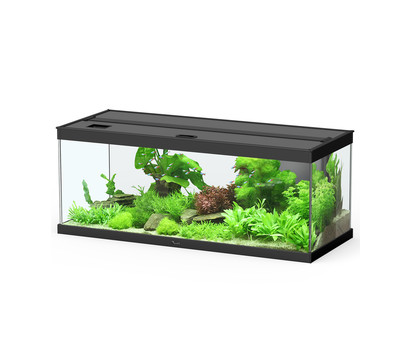 Dehner Aqua Premium Aquarium-Set ProLine 100, schwarz, 160 l, ca. B100/H40/T40 cm