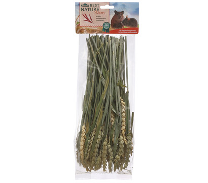 Dehner Best Nature Weizen, 75 g