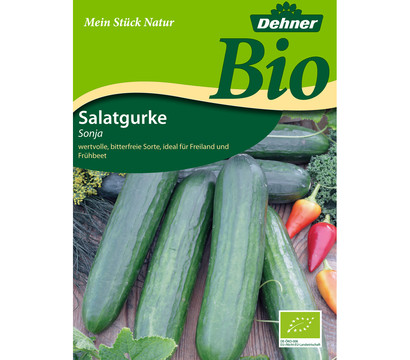 Dehner Bio-Samen Salatgurken 'Sonja'