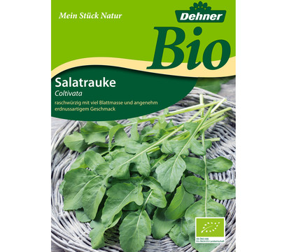 Dehner Bio-Samen Salatrauke 'Coltivata'