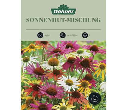 Dehner Blumenzwiebel Sonnenhut-Mischung, 5 Stk.