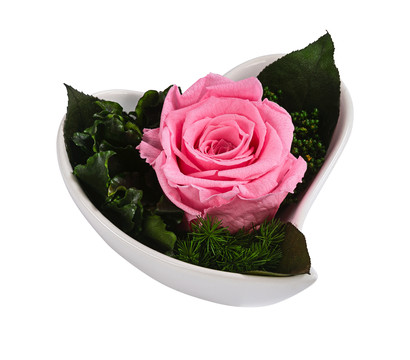 Dehner Herzschale mit Longlife-Rose Lena, rosa, ca. B11/H7 cm