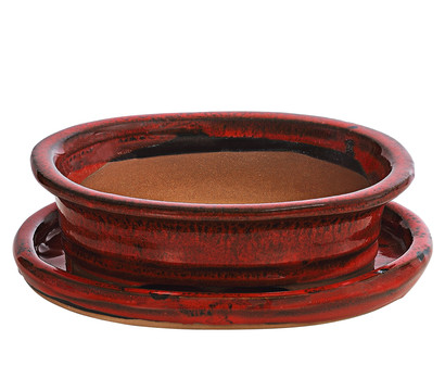 Dehner Keramik-Bonsaischale, oval, rot