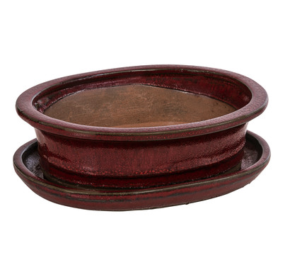Dehner Keramik-Bonsaischale, oval, rot/grau