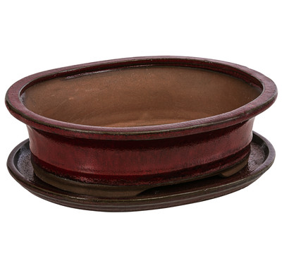 Dehner Keramik-Bonsaischale, oval, rot/grau