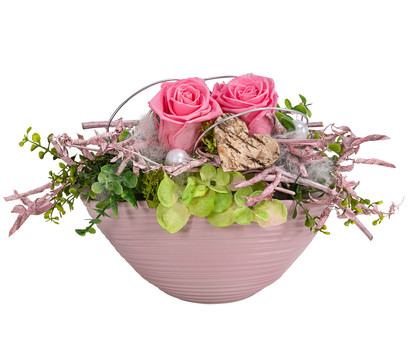 Dehner Keramik-Jardiniere mit Longlife-Rose Pink Charm, ca. B20/H15 cm