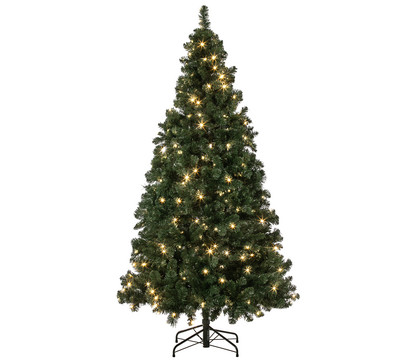 Dehner künstlicher LED-Weihnachtsbaum Aron, ca. 210 cm