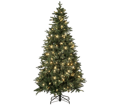 Dehner künstlicher LED-Weihnachtsbaum Espen, ca. H210 cm