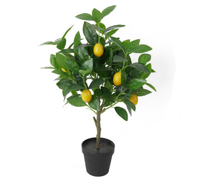 Dehner Kunstpflanze Zitronenbaum