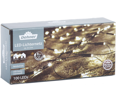 Dehner LED-Lichternetz, 100 LEDs, warmweiß, ca. B200/H200 cm