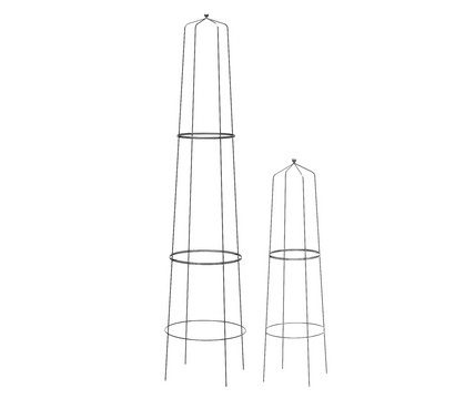 Dehner Obelisk-Sekt Nova, 2-teilig