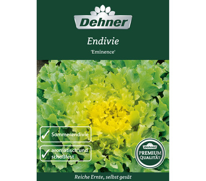 Dehner Premium Samen Endivien 'Eminence'