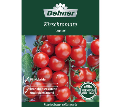 Dehner Premium Samen Kirschtomate 'Lupitas'
