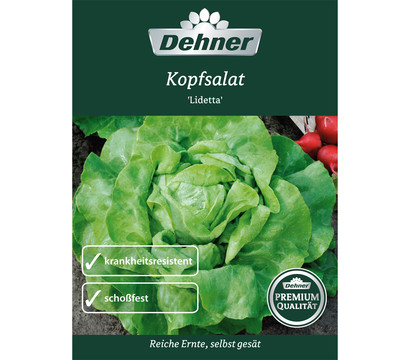 Dehner Premium Samen Kopfsalat 'Lidetta'