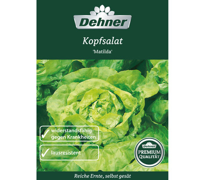 Dehner Premium Samen Kopfsalat 'Matilda'
