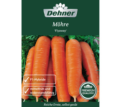 Dehner Premium Samen Möhre 'Flyaway'