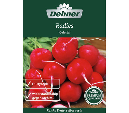 Dehner Premium Samen Radies 'Celesta'