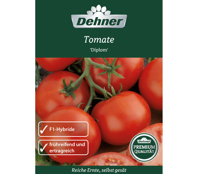 Dehner Premium Samen Tomate 'Diplom'