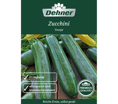 Dehner Premium Samen Zucchini 'Dunja'