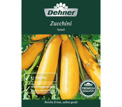 Dehner Premium Samen Zucchini 'Soleil'