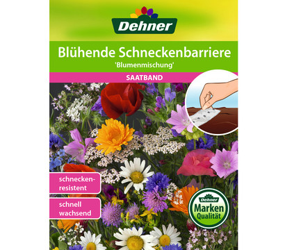 Dehner Saatband Blühende Schneckenbarriere 'Blumenmischung', 5 m