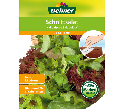 Dehner Saatband Schnittsalat 'Italenische Salatwiese'