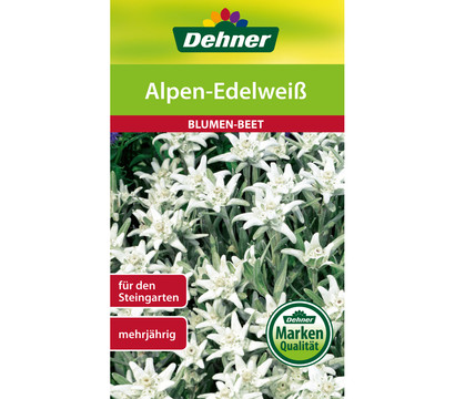 Dehner Samen Alpen-Edelweiß