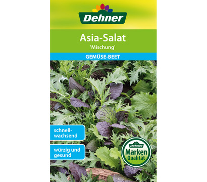 Dehner Samen Asia-Salat 'Mischung'