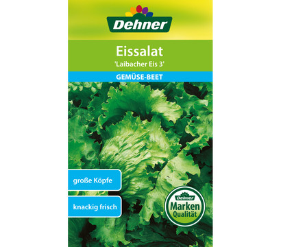 Dehner Samen Eissalat 'Laibacher Eis 3'