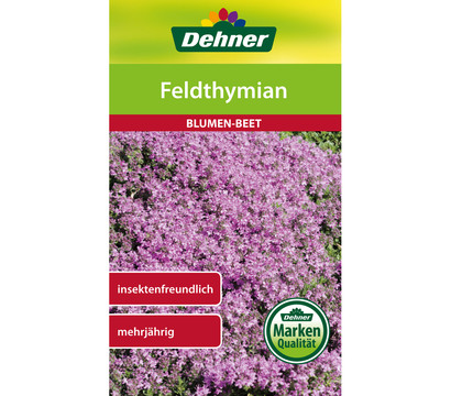 Dehner Samen Feldthymian