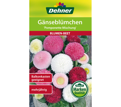 Dehner Samen Gänseblümchen 'Pomponette Mischung'