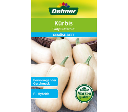 Dehner Samen Kürbis 'Early Butternut'