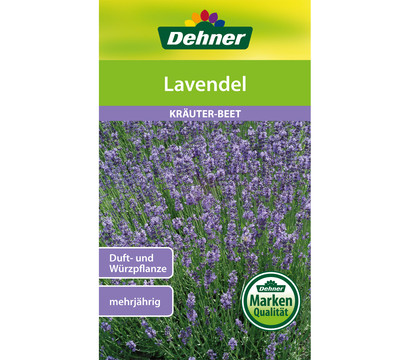 Dehner Samen Lavendel
