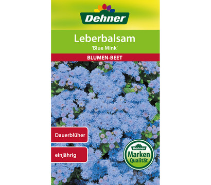 Dehner Samen Leberbalsam 'Blue Mink'