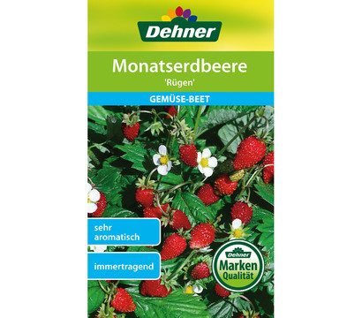 Dehner Samen Monatserdbeere 'Rügen'