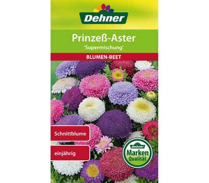 Dehner Samen Prinzeß-Aster 'Supermischung'