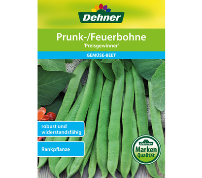 Dehner Samen Prunk-/Feuerbohne 'Preisgewinner'