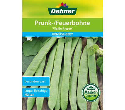 Dehner Samen Prunk-/Feuerbohne 'Weiße Riesen'