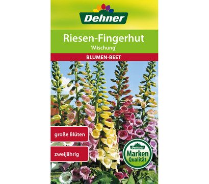 Dehner Samen Riesen-Fingerhut 'Mischung'