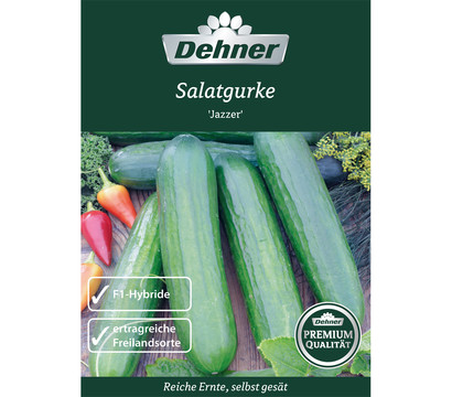 Dehner Samen Salatgurke 'Jazzer'