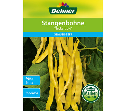 Dehner Samen Stangenbohnen 'Neckargold'