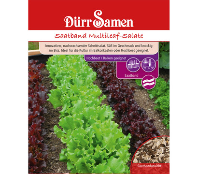 Dürr Saatband Multileaf-Salate