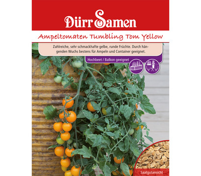 Dürr Samen Ampeltomate 'Tumbling Tom Yellow'
