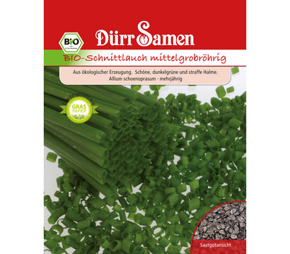 Dürr Samen Bio-Schnittlauch mittelgrobröhrig 'Allium schoenoprasum'